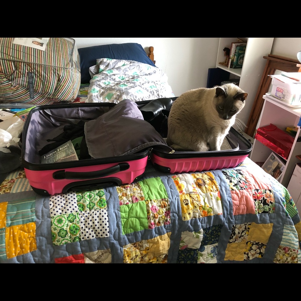 Meet your Posher, Lissa